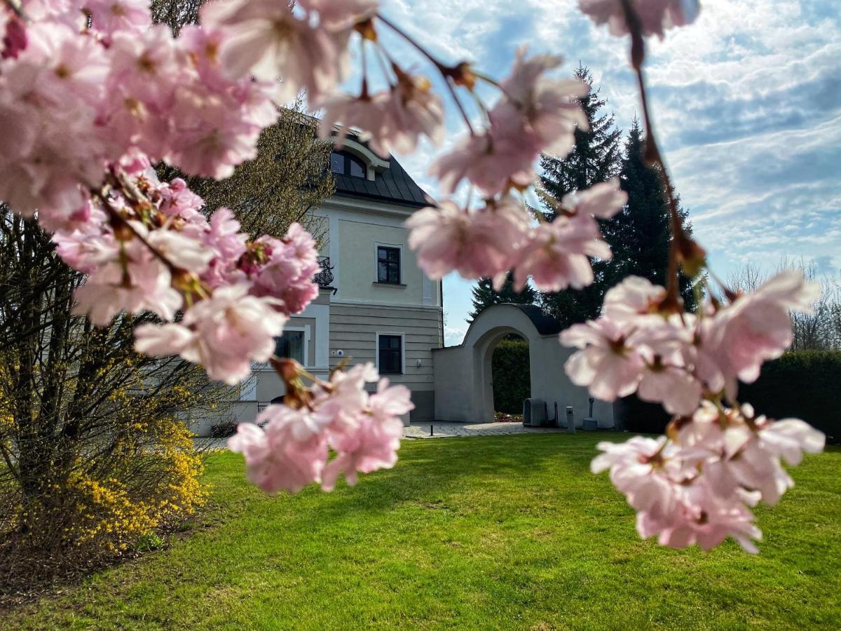 Hotel Villa Necas Жилина Экстерьер фото